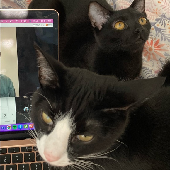 Meet your Posher, Tyler - Picture 3 of 4